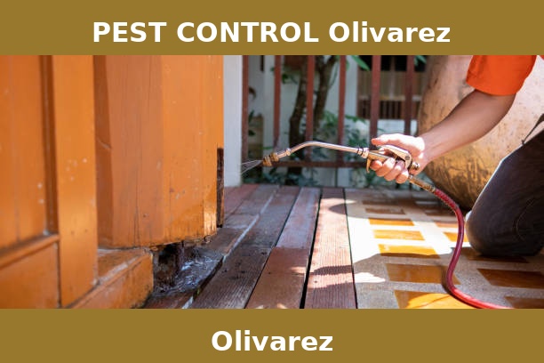 PEST CONTROL Olivarez